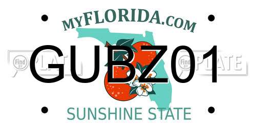 GUBZ01 Florida License Plate