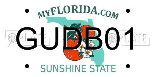 GUDB01 Florida License Plate