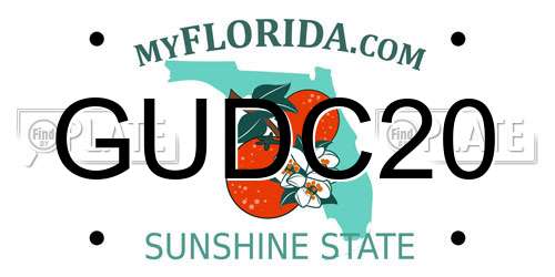 GUDC20 Florida License Plate