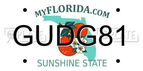 GUDG81 Florida License Plate