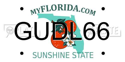 GUDL66 Florida License Plate