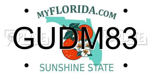 GUDM83 Florida License Plate