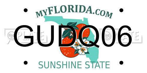 GUDQ06 Florida License Plate