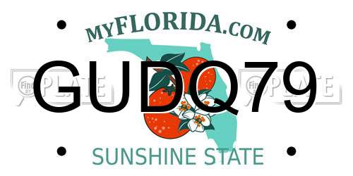 GUDQ79 Florida License Plate