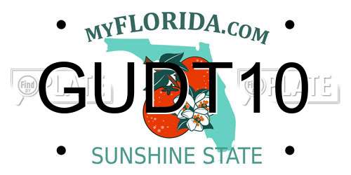 GUDT10 Florida License Plate