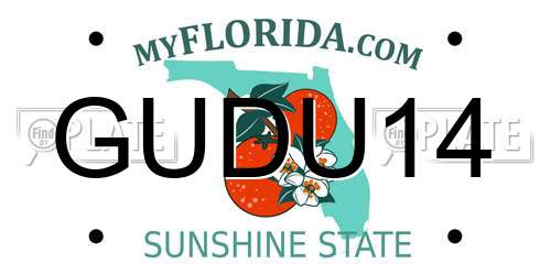 GUDU14 Florida License Plate
