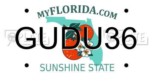 GUDU36 Florida License Plate