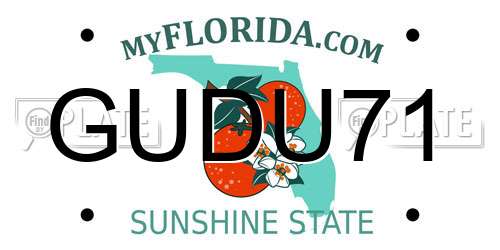 GUDU71 Florida License Plate