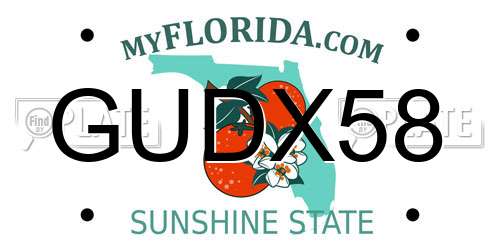 GUDX58 Florida License Plate