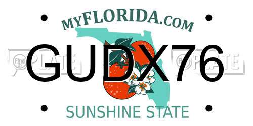 GUDX76 Florida License Plate