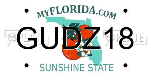 GUDZ18 Florida License Plate