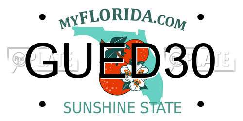 GUED30 Florida License Plate
