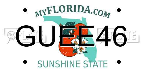 GUEE46 Florida License Plate