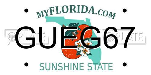GUEG67 Florida License Plate