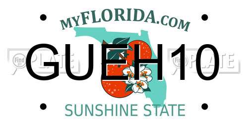 GUEH10 Florida License Plate