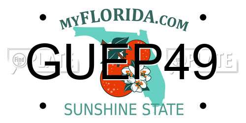 GUEP49 Florida License Plate