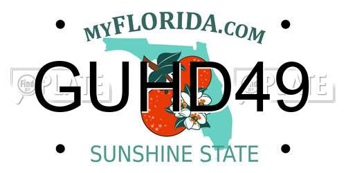 GUHD49 Florida License Plate