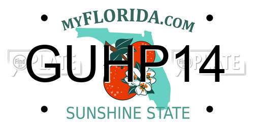 GUHP14 Florida License Plate