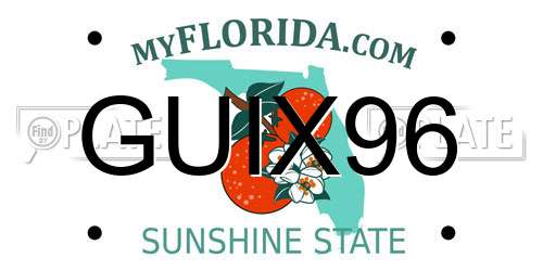 GUIX96 Florida License Plate