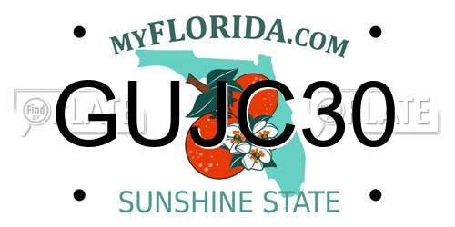 GUJC30 Florida License Plate