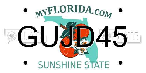 GUJD45 Florida License Plate