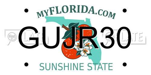 GUJR30 Florida License Plate