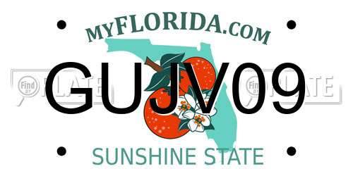 GUJV09 Florida License Plate