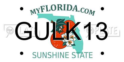 GULK13 Florida License Plate