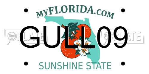 GULL09 Florida License Plate