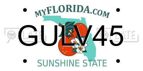 GULV45 Florida License Plate