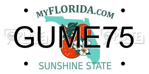 GUME75 Florida License Plate