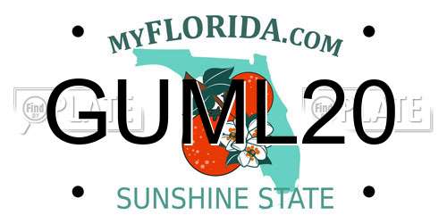 GUML20 Florida License Plate