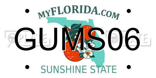 GUMS06 Florida License Plate