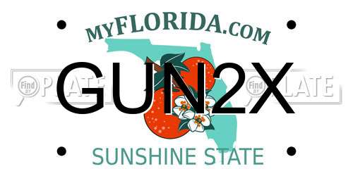 GUN2X Florida License Plate