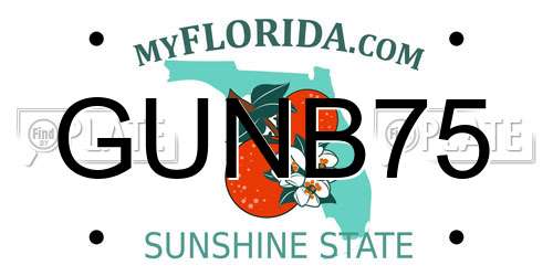 GUNB75 Florida License Plate
