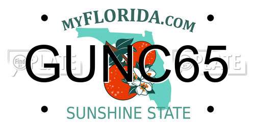 GUNC65 Florida License Plate