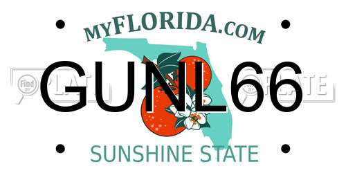 GUNL66 Florida License Plate