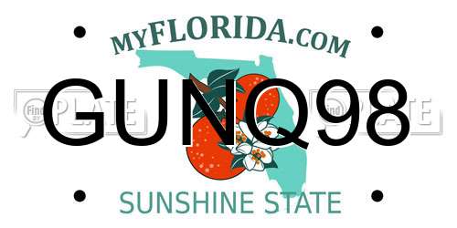 GUNQ98 Florida License Plate