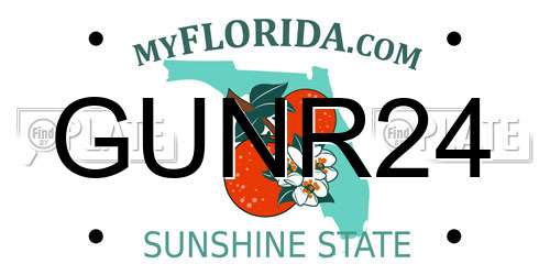 GUNR24 Florida License Plate