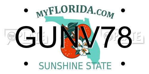 GUNV78 Florida License Plate