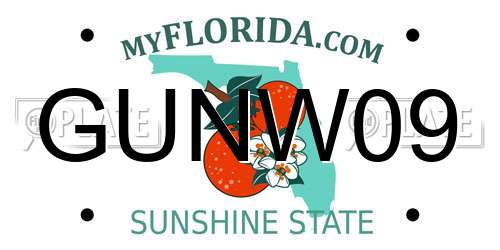 GUNW09 Florida License Plate