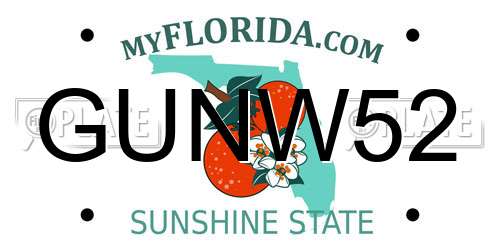 GUNW52 Florida License Plate