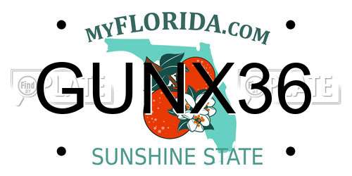 GUNX36 Florida License Plate