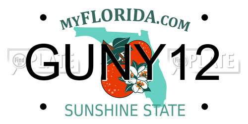 GUNY12 Florida License Plate