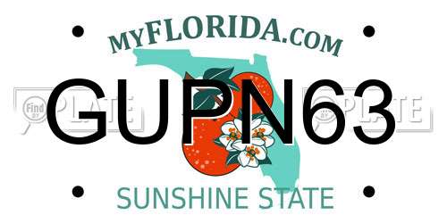 GUPN63 Florida License Plate