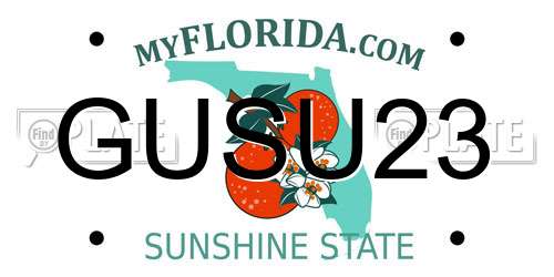 GUSU23 Florida License Plate