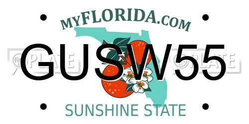 GUSW55 Florida License Plate