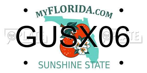 GUSX06 Florida License Plate
