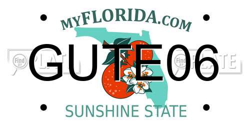 GUTE06 Florida License Plate