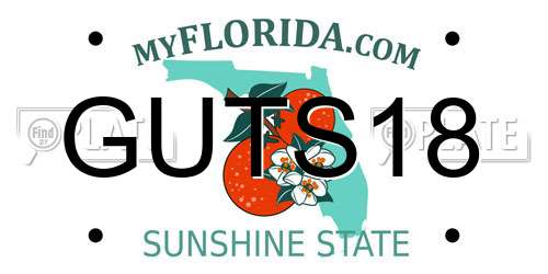 GUTS18 Florida License Plate